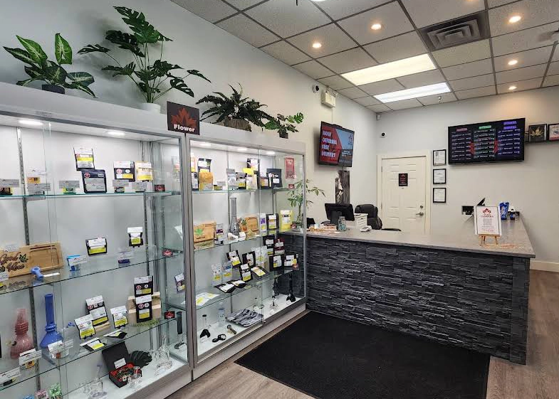 Team Cannabis Tenant Improvements | Canadian Blueprint feature image